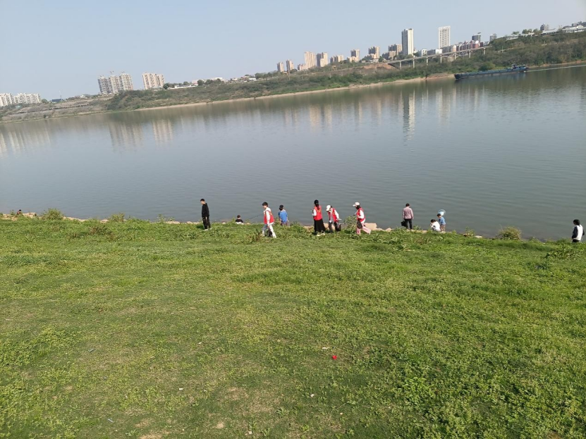 05bf1aca6e4043de99c53491cd539193.png image.png